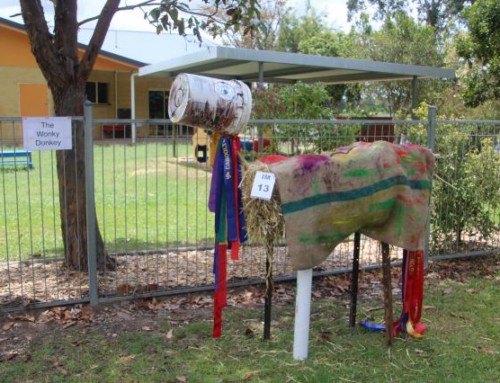 Mary Valley Scarecrow Festival 2015