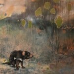 Animalia winner Fire rebirth and hope Tasmanian Devil by Cynthia House