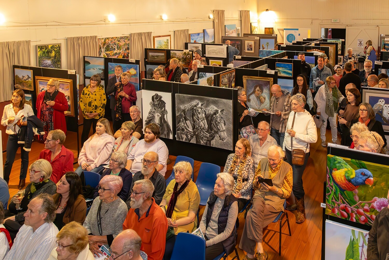 Audience at Mary Valley Art Festival awards night