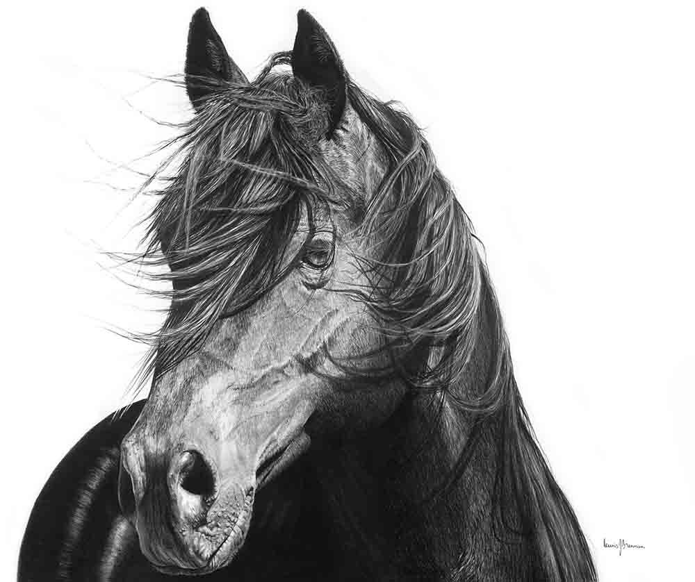 The Aware by Lew Brennan