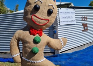 2026 Grand Campion winner - The gingerbread chase by Darren and Simone.