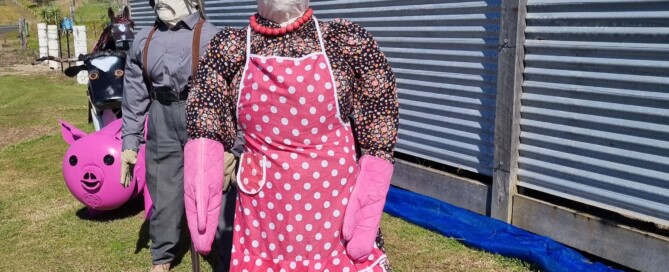Extra scarecrows as part of The gingerbread chase entry for the Mary Valley Scarecrow Festival 2026.